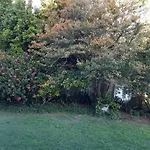 Lemon Lodge
